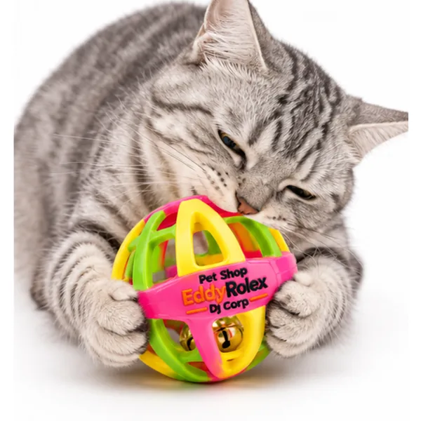 Pet playing with a toy