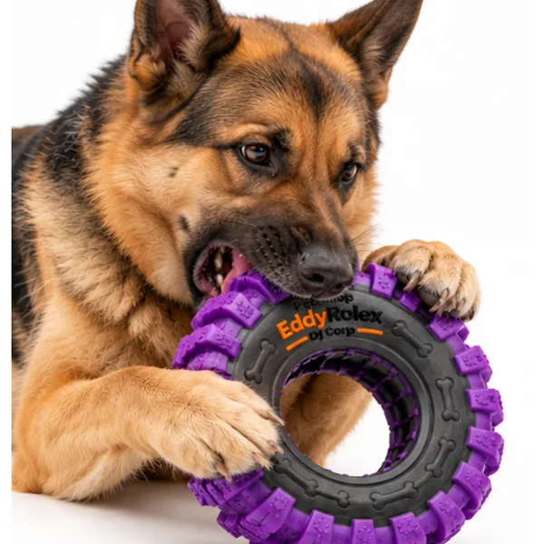 Pet playing with a toy